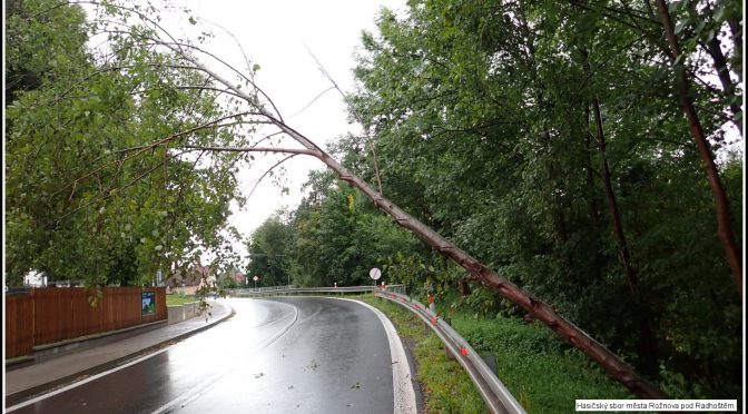 Technická pomoc, Odstranění stromu