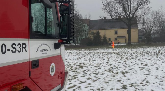 Technická pomoc, Odstranění stromu